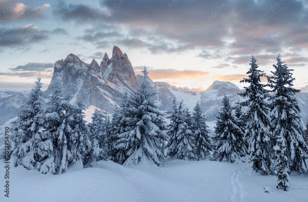 Fototapeta premium Colorful winter panorama in the Alpine Dolomites. Fir trees covered in fresh snow on a frosty morning shine in the first rays of the sun.
