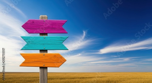 Blank colorful wooden signposts pointing in different directions against a blue sky over a golden wheat field