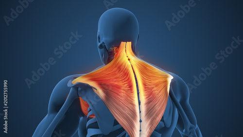 Fotografía Trapezius Tightness Causing Neck Discomfort