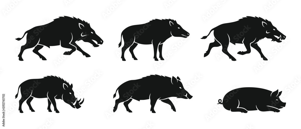 Obraz premium Wild Boar Silhouette Set, Collection of Hog and Pig Icons in Various Poses for Hunting Logo Design and Wildlife Graphic Elements Isolated on White Background for Sport Emblem and Animal Symbolism