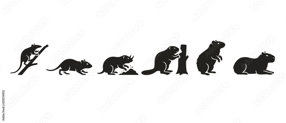 Naklejka premium Rodent Silhouette Set Isolated Collection. Rat, beaver, capybara, and small wild animals in flat black graphic style for vector icon design, nature illustration, and biology educational material proje