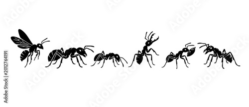 Obraz na płótnie Ants silhouette collection vector set, isolated insects for design