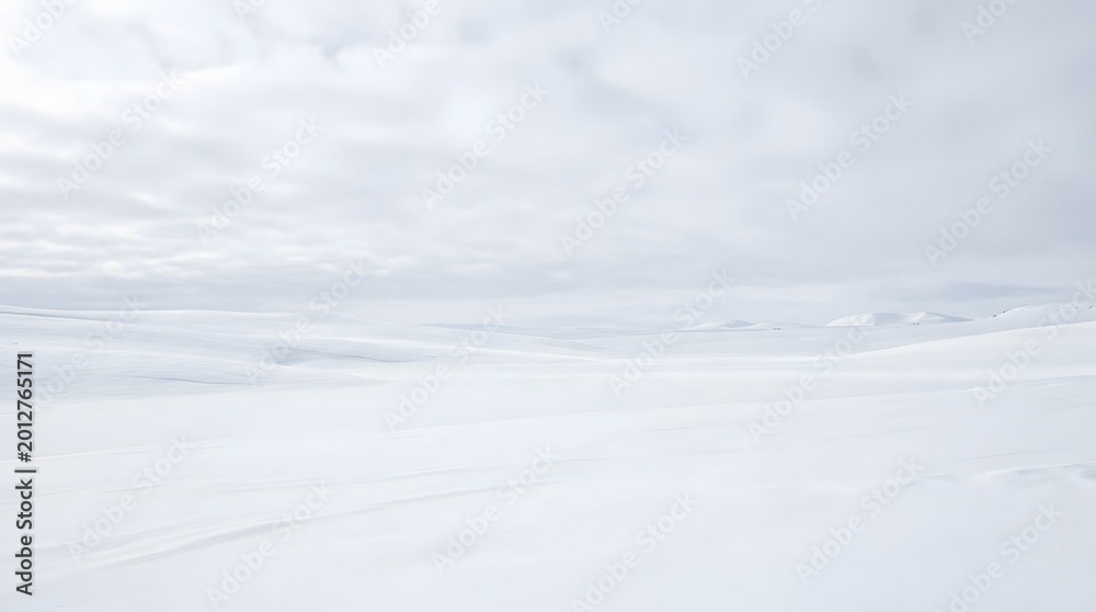 Obraz premium A serene snowy landscape stretches under a vast cloudy sky