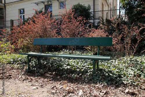 Empty green wooden bench in a sunny spring park with lush bushes