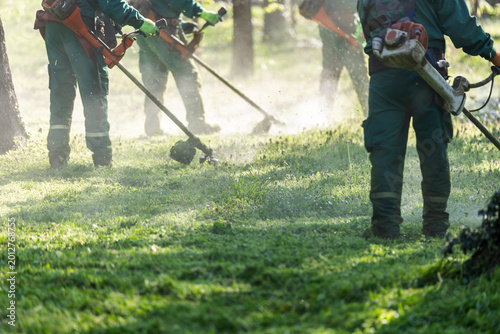 Team of Park Workers Trimming Grass With Brush Cutters