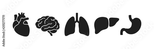 Fotografía Human organ silhouette icons with heart, brain, lungs, liver and stomach anatomy
