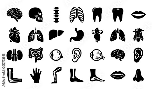 Cuadro en lienzo Human anatomy silhouette icon set vector with organs skeleton and body parts