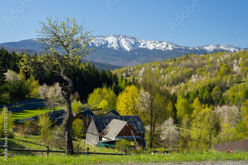 Spring Countryside Landscape with Babia Góra Mountain