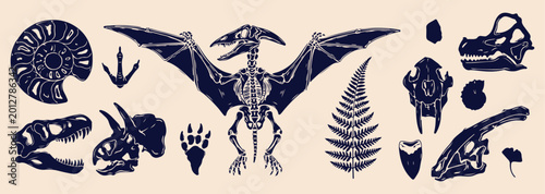 Foto Prehistoric pterodactyl skeleton art, ancient dinosaur fossil graphics, museum a