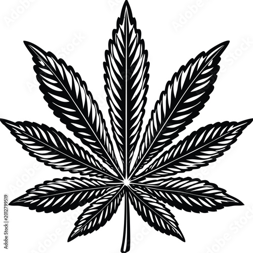 Fotografía Cannabis leaf, marijuana symbol, black vector icon, weed logo