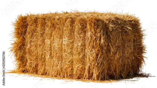 Obraz na płótnie Rectangular golden hay bale dry straw texture, isolated on transparent background