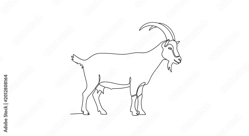 Fototapeta premium Hand-drawn outline of a standing goat with horns and udder, isolated on white background