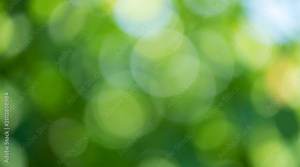 Obraz premium Abstract Green Bokeh Background, Blurred Nature Foliage with Sunlight