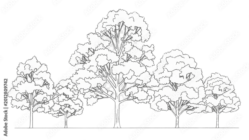Fototapeta premium Detailed 2D CAD illustration of trees standing in a serene natural landscape setting outdoors