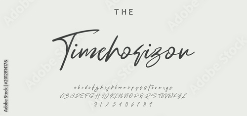 elegant handwritten font that captures a realistic signature style, great for personal logos and stationery. signature Font Calligraphy Logotype Script Brush Font Type Font lettering handwritten. 