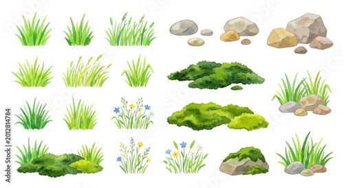 Tableau sur toile Watercolor illustration of grass rocks and moss on white background