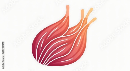 Onion Bulb Illustration with Roots.