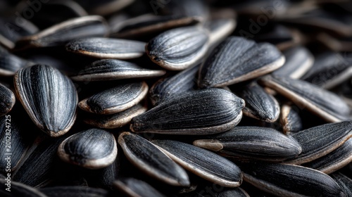 Close-Up View of Shiny Black Sunflower Seeds Displaying Smooth Texture and Natural Beauty Ideal for Culinary and Snack Purposes in High-Resolution Photography