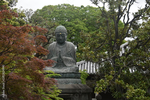 Foto Big Buddha in Kamakura, Japan