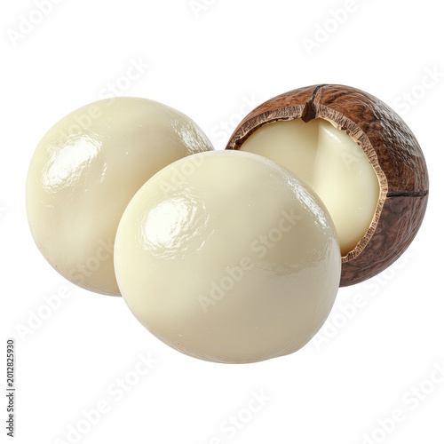 Macadamia Nuts: Whole and Shelled