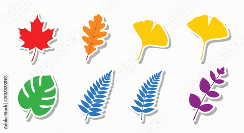 Colorful illustrations of various leaf types on white