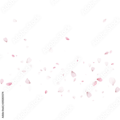 Gentle drift of pink sakura petals. Spring cherry blossom floral pattern. Decorative background with space for text