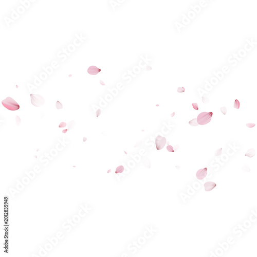 Sparse arrangement of delicate pink sakura petals floating gently. Falling cherry blossom flowers on a blank background. Minimalist spring design with copy space