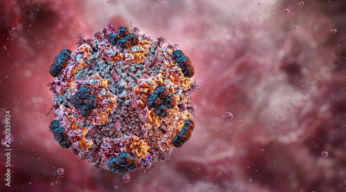 Foto Hantavirus particle