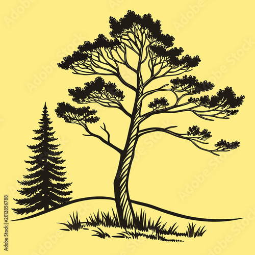 Pine tree in flat icon style, simple bold colours, yellow background