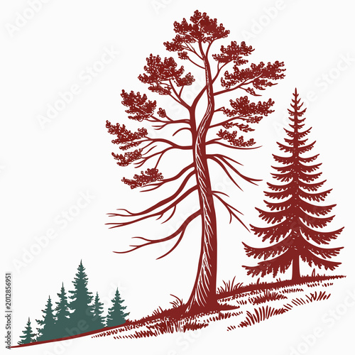 Pine tree in flat icon style, simple bold colours, white background