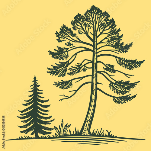 Pine tree in flat icon style, simple bold colours, yellow background