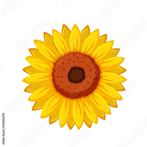 Canvas-taulu Vibrant sunflower illustration on transparent background design.