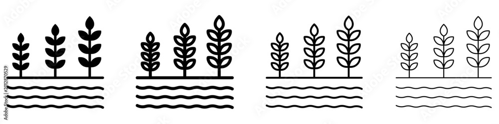 Obraz premium A set of wheat ears or cereal crops line icons over wavy lines representing a field or water, featured in four different stroke weights. Vector symbols for agriculture, harvest, farming, or organic pr