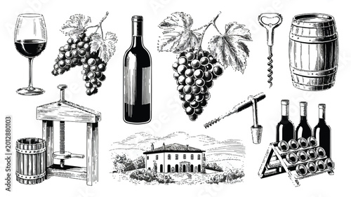 wine making equipment and grapes illustrations on white background