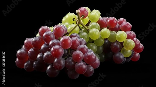 A fresh bunch of juicy red grapes hangs from a green vine in a sunlit vineyard, showcasing a ripe cluster of sweet purple berries and natural leaves perfect for healthy food or wine agriculture