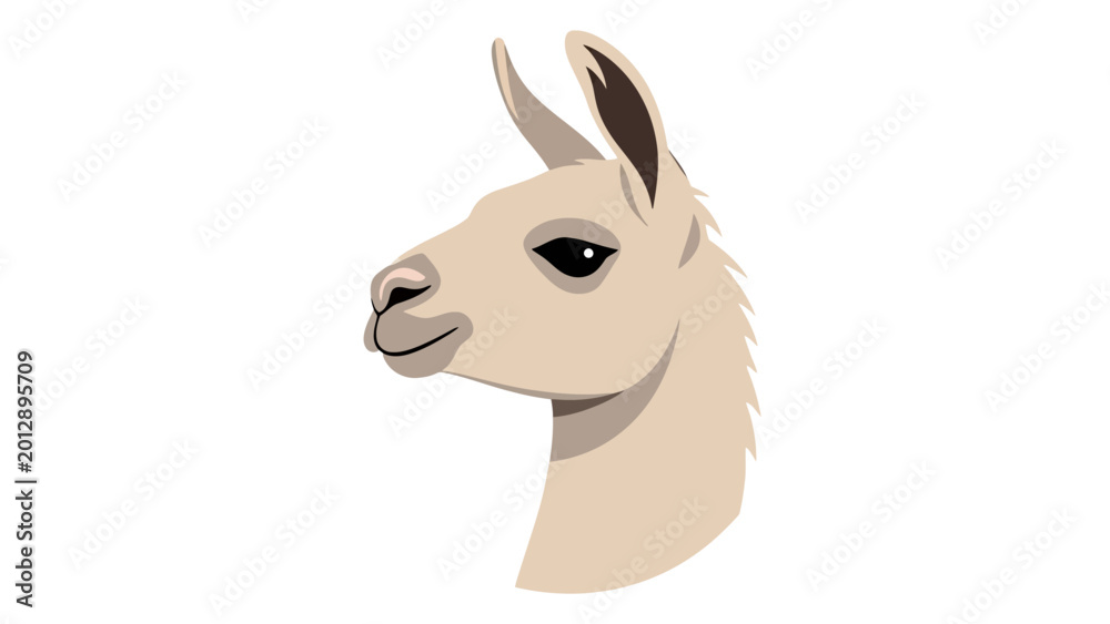 Fototapeta premium Cute Llama Portrait Illustration on White Background