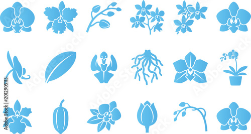 Obraz na płótnie Orchid flower and leaf icons representing beauty nature and botanical elements