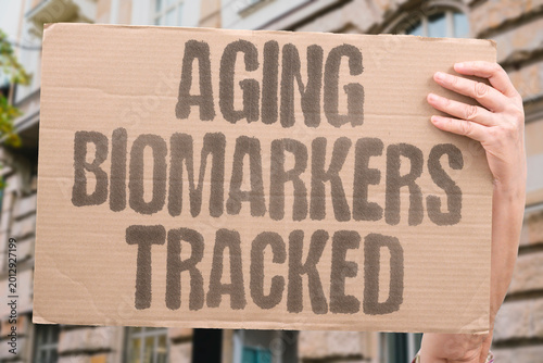 Photography "Aging Biomarkers Tracked" Precision longevity medicine now monitors biological age through measurable molecular biomarker panels