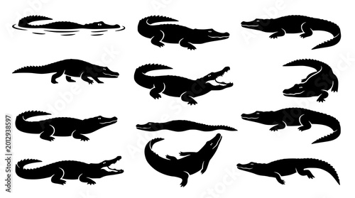 Crocodile poses silhouette vector set black outline wildlife illustration collection