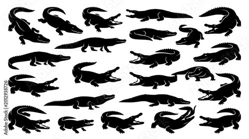 Tableau sur toile Crocodile silhouette vector set diverse poses wildlife animal illustration colle
