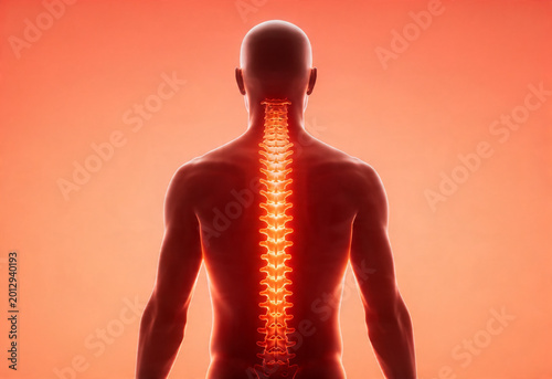 Human body backview anatomy health pain ache back person lower inflammation nerve sciatica young adult caucasian suffering bvoday medicine.