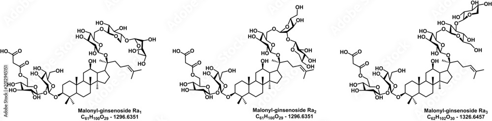 Obraz premium These are the oragnic structures of saponin compounds isolated from korea ginseng (panax ginseng).