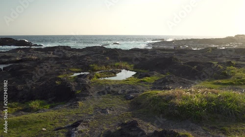 三浦市城ヶ島の磯と海