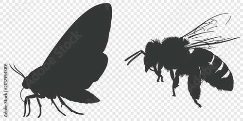 Black silhouette vector illustration of a moth and a bee in a flat graphic design style, with clear wing and body details.