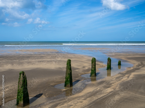 Westward Ho beach Groynes on the North Devon coast of England.