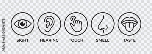 Icons Representing Five Senses