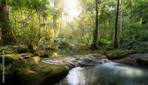 the gentle rustle of leaves and the sound of water are the perfect soundtrack for relaxation how does this peaceful retreat in the forest rejuvenate your mind and spirit