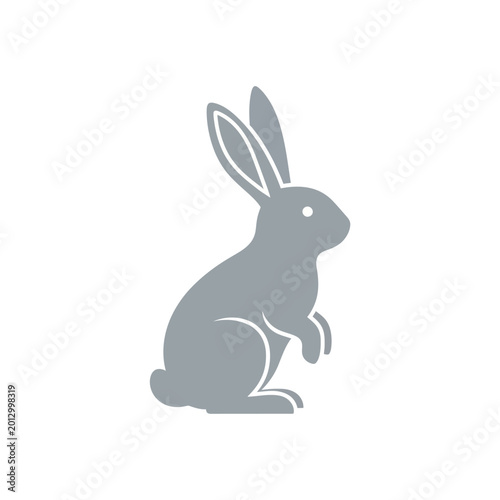 Gray rabbit sitting on ground.