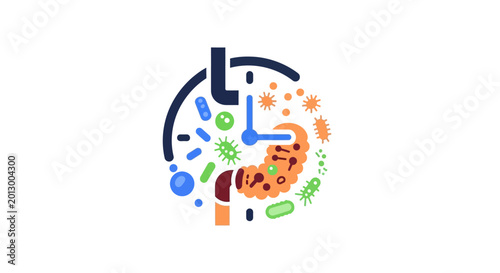 Gut Microbiome Health Clock Icon: Bacteria, Digestion, Time, Wellness Concept