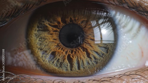 Close-up extreme detail of a human eye showing the iris with intricate patterns and reflections of palm trees on a beach